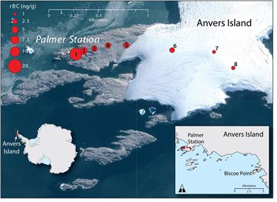 Local Emissions and Regional Wildfires Influence Refractory Black Carbon Observations Near Palmer Station, Antarctica